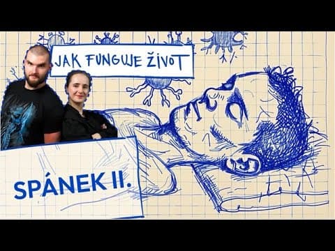 Kortizol je hormon, který má přirozený denní rytmus - ráno je jeho hladina nejvyšší a pomáhá nám probudit se