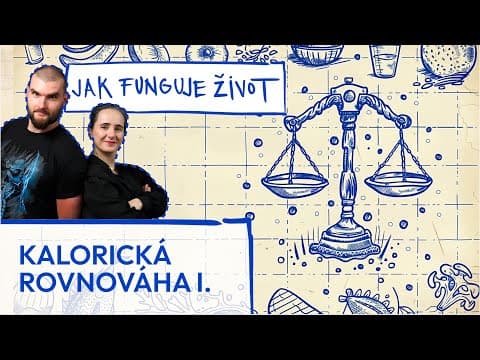 Kalorická rovnováha znamená stav, kdy člověk přijímá stejné množství energie, jako vydává