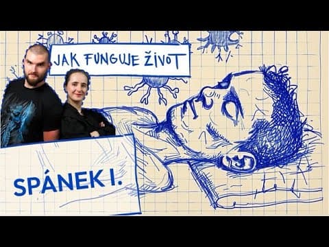 Jak funguje spánek: Fáze, kvalita a co ji skutečně ničí