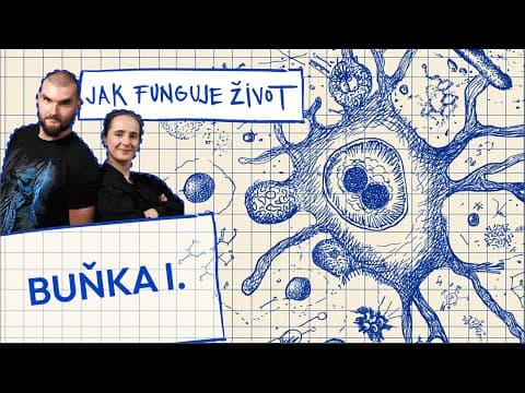 Buňka představuje základní stavební jednotku veškerého života a je to mnohem složitější útvar, než jak ji znají lidé ze školních učebnic