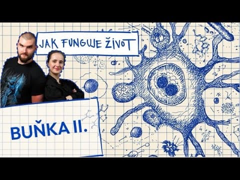 Podcast vysvětluje, jak fungují buňky a co řídí jejich činnost