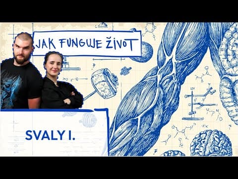 # Shrnutí klíčových bodů